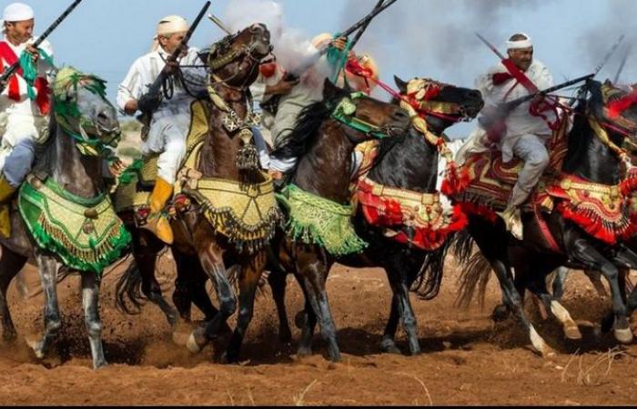 Trophée Equestre du Maroc, une 18ème édition qui magnifie cet art