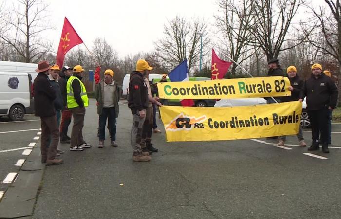 Les agriculteurs de la Coordination rurale en route pour bloquer Paris ce dimanche soir