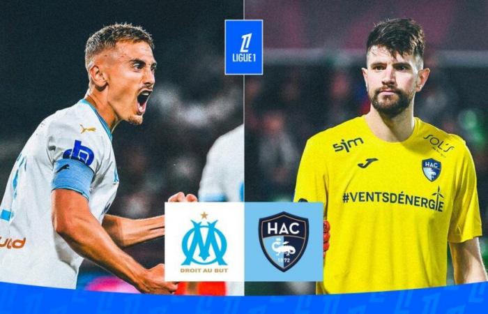 OM-HAC : compositions probables