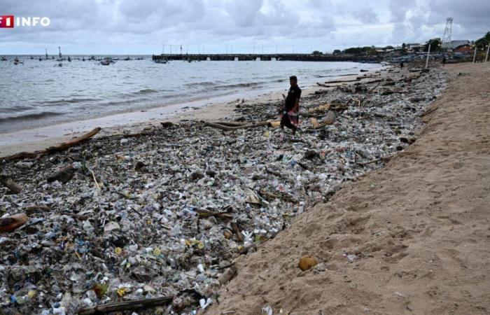 une marée de déchets plastiques s’échoue sur les plages de Bali