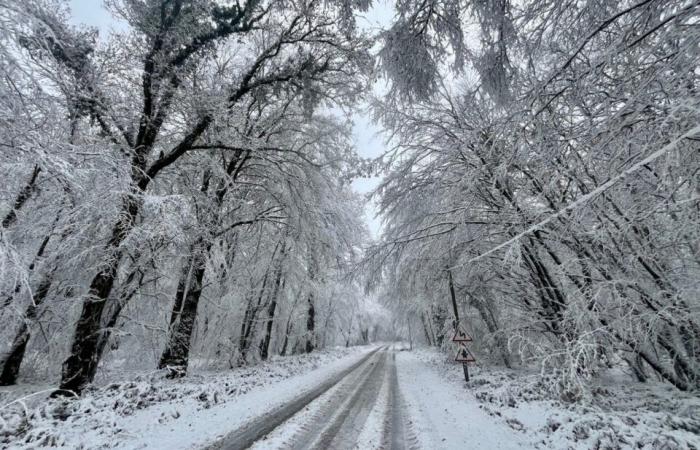 Aurores boréales, neige, tempêtes… Ces phénomènes ont marqué la météo de l’année 2024 dans la Manche