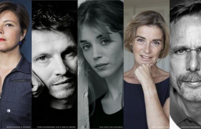 Carcassonne. L’ensemble du jury du FIFP Fiction, deux noms rejoignent le casting