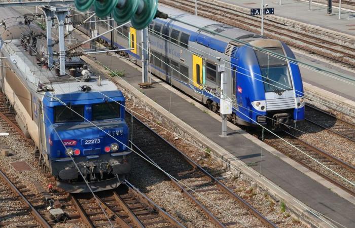 Bulletin météo. En raison de la dépression Floriane, quels trains ne circuleront pas ce lundi 6 janvier dans les Hauts-de-France ?