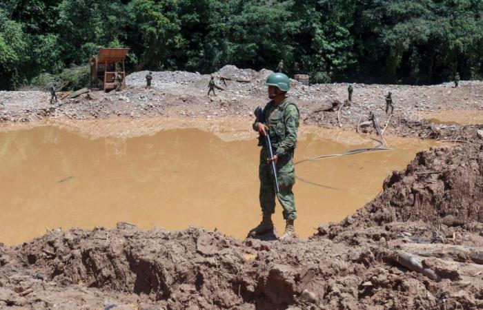 En Amazonie équatorienne, les autorités incapables d’endiguer la ruée vers l’or, « catastrophique » pour la région