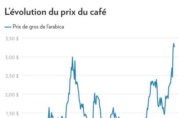 Pourquoi les prix du café s’envolent (encore)