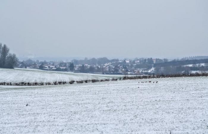 Bulletin météo. Quelle météo dans les Hauts-de-France pour ce lundi 6 janvier 2025 ?