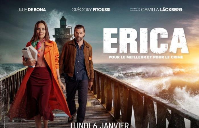 ERICA (Critique vidéo de la saison 1) – The Cliffhanger & Co Chronicles