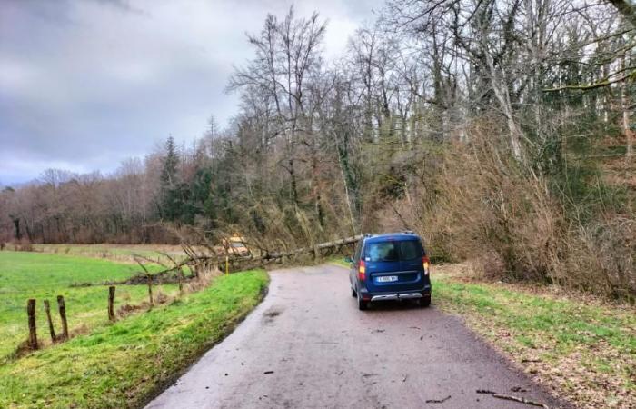 Arbres couchés sur les routes autour de Colombey