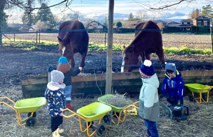 A Veyrier, les enfants vont à l’école à la ferme