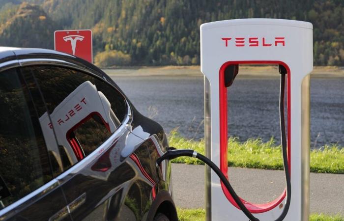 Tesla stagne face à une concurrence mondiale croissante