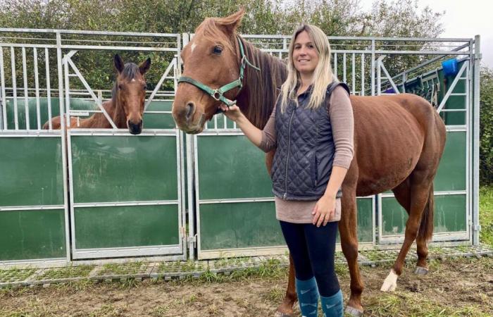 le Refuge Aventure, un havre de paix pour les animaux abandonnés