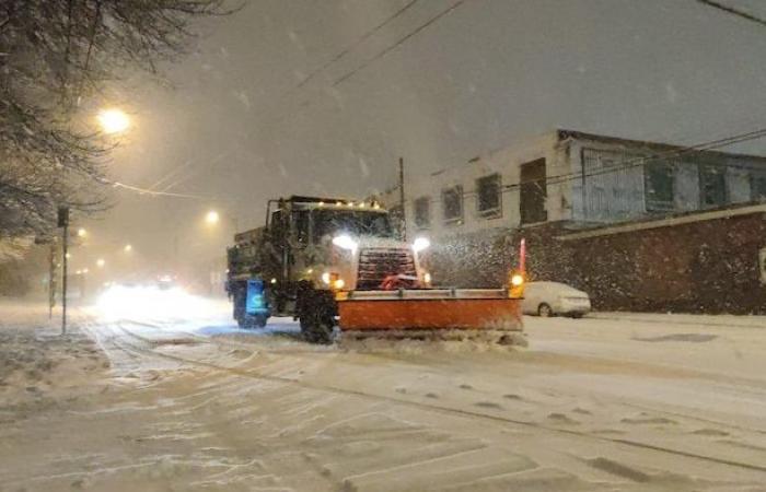 Le sel de déneigement pourrait être mortel pour le saumon