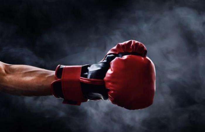 Quels sont les meilleurs gants de boxe choisir en 2025 ?