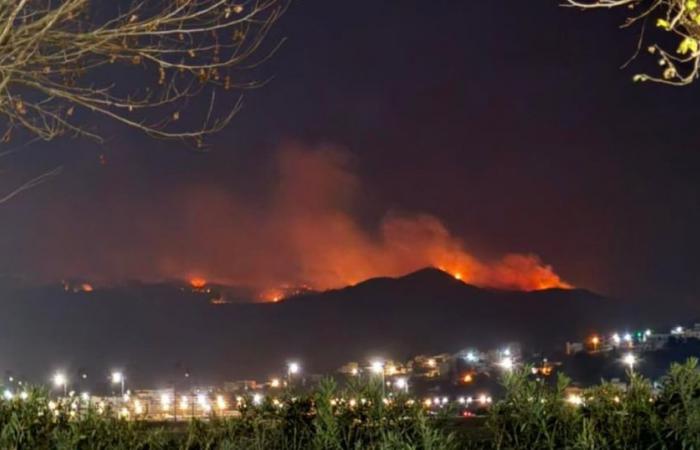 Un incendie ravage plus de 100 hectares de forêt près de Tétouan