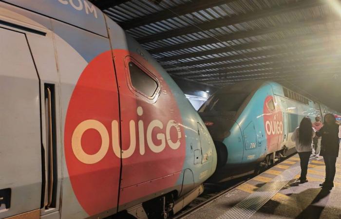 Les insectes et nuisibles trouvés dans les TGV Ouigo par les syndicats donnent le vertige