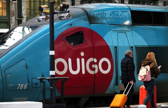 Cafards, punaises de lit, toilettes hors service… les syndicats de la SNCF jugent « déplorable » l’état des rames Ouigo TGV