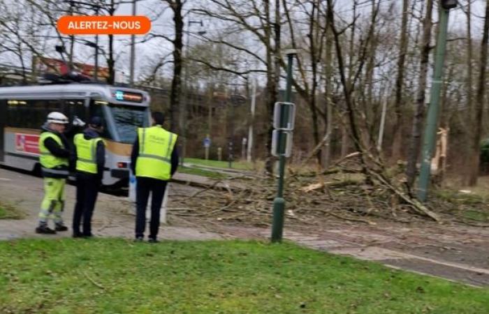 des vents violents provoquent des dégâts considérables, des blessés sont signalés