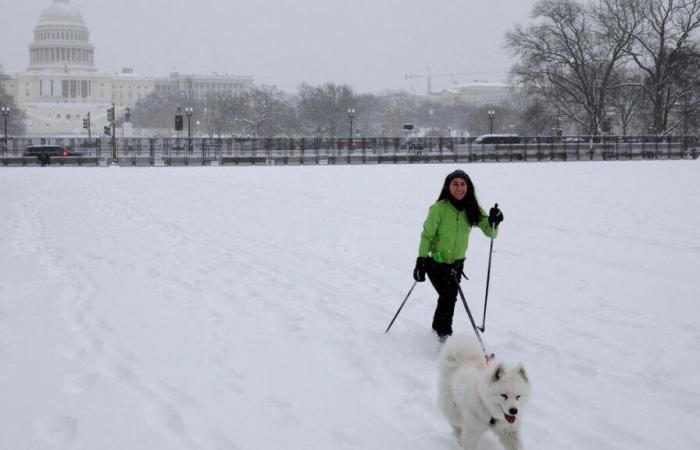 Cinq morts, d’énormes coupures de courant… le centre et l’est des États-Unis balayés par une puissante tempête hivernale