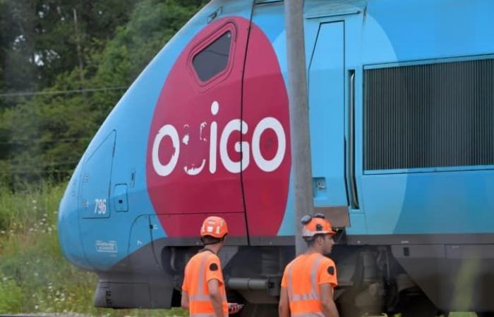 Les syndicats de la SNCF déplorent l’état des rames TGV Ouigo