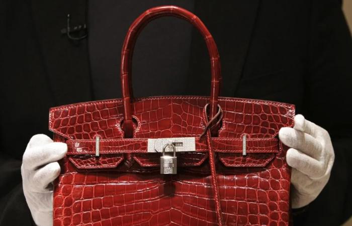 Une imitation du sac Hermès Birkin fait fureur aux Etats-Unis