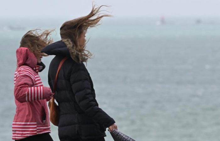 Tempête Floriane : 40 000 foyers sans électricité, neige à venir jeudi ? Suivez notre direct