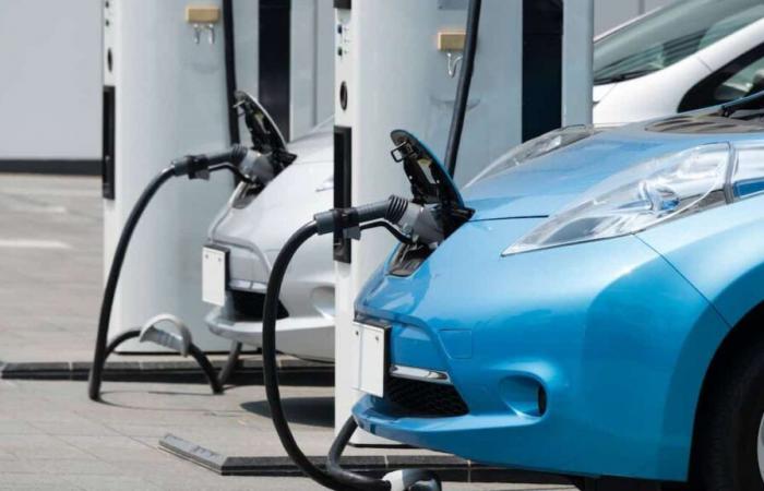 une année à rebondissements marquée par les véhicules électriques