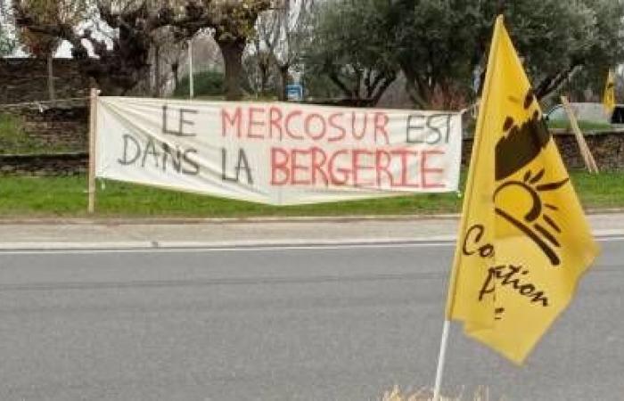 Dans le Gard, les élections à la Chambre d’agriculture sous tension