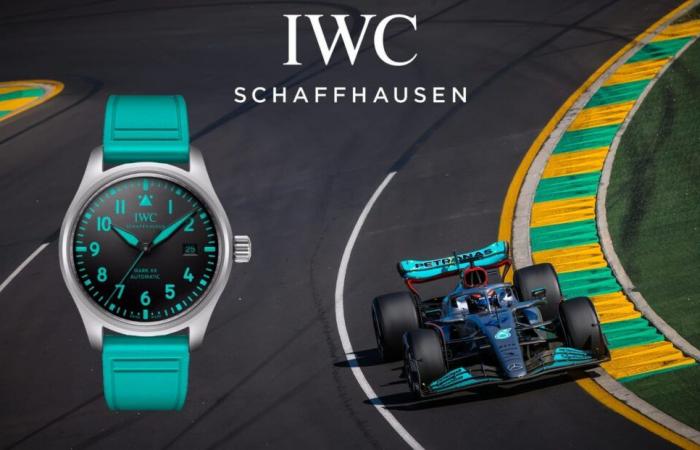 une montre F1 à 6 600 € qui ne plaît pas à tout le monde