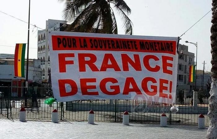 “FRAPP/FRANCE DEGAGE”: MOISSON FOR SOVEREIGNTY