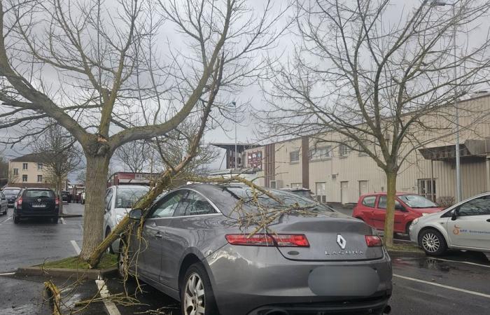 4 300 foyers toujours privés d’électricité en Champagne-Ardenne