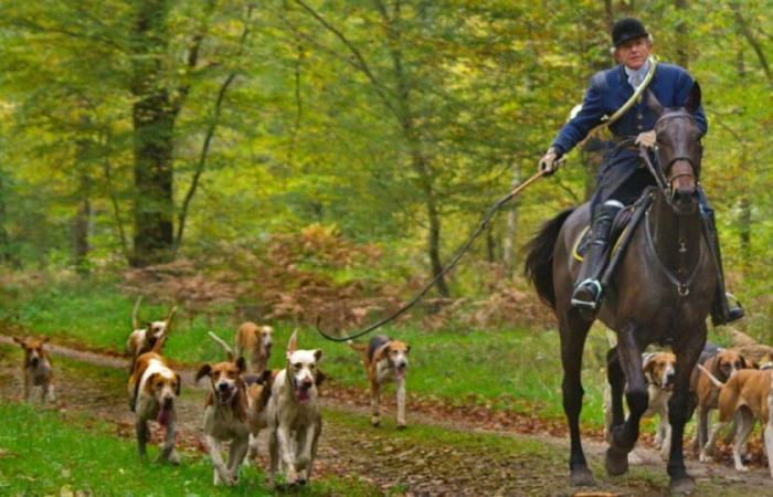 une association dénonce la pratique de la chasse à courre sur son terrain : Actualités