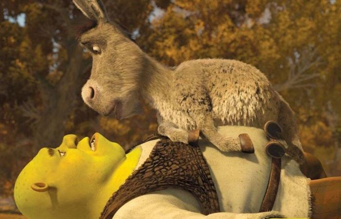 Perry, l’âne qui a inspiré celui de Shrek, est mort : “Il a beaucoup souffert”