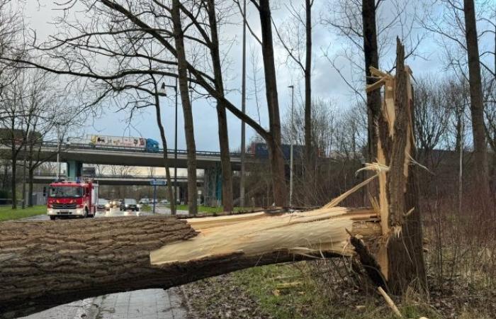 des vents violents provoquent des dégâts considérables, des blessés sont signalés