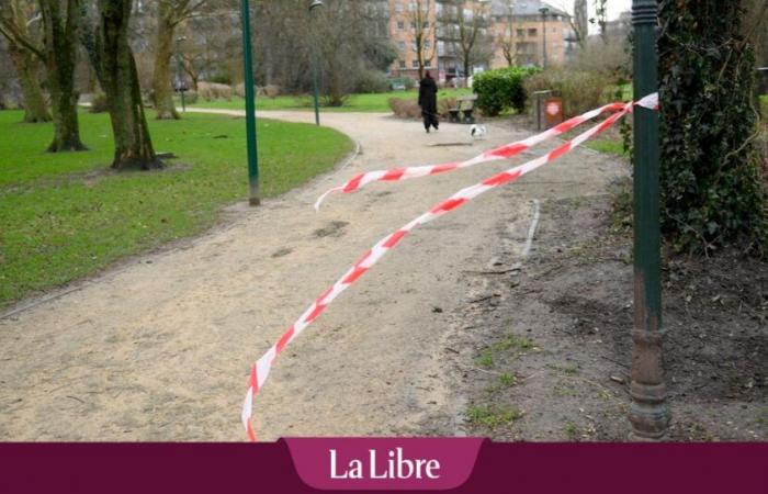 EN DIRECT – Violentes intempéries en Belgique : des panneaux tombent sur la place De Brouckère, des dégâts constatés à plusieurs endroits du pays