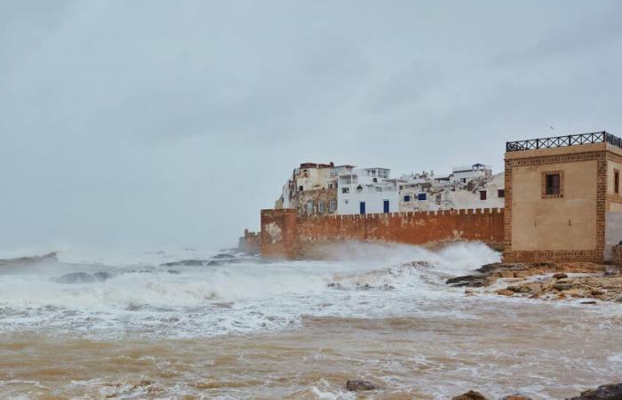 Bulletin météo. Températures stables ce lundi 6 janvier, avec des averses orageuses dans différentes régions du pays