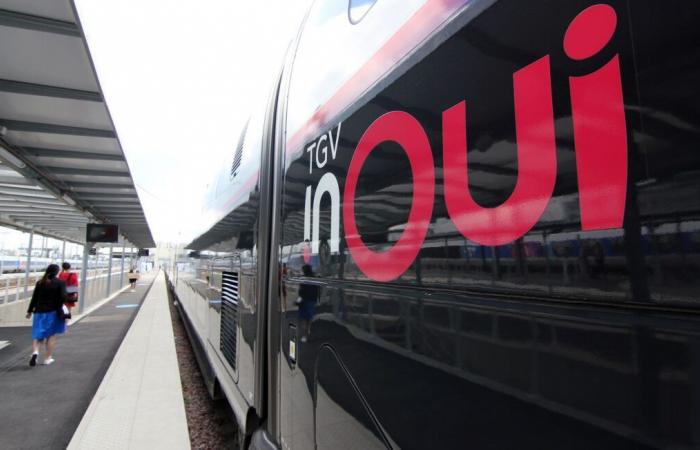 Des centaines de voyageurs SNCF en crise après qu’un TGV ait percuté un sanglier le dernier jour des vacances