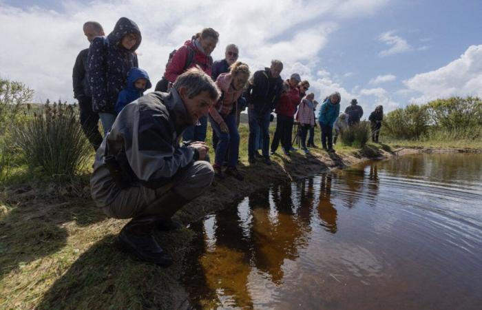 Dans cette commune du Cotentin, la Fête de la Nature a lieu fin mai