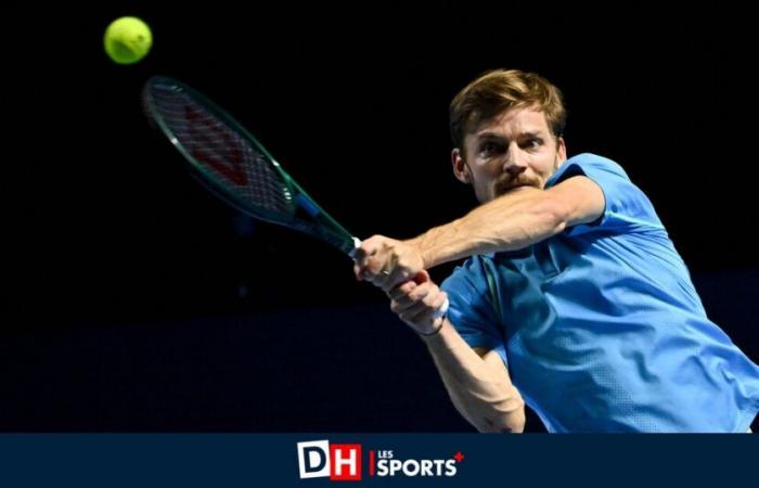 David Goffin débute l’année à la 53ème place à l’ATP, Zizou Bergs (66ème) en remporte cinq, Mertens conserve sa 39ème place à la WTA