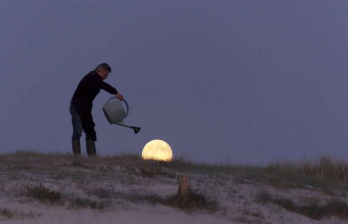 Toutes les dates de pleine lune pour 2025 – un aperçu