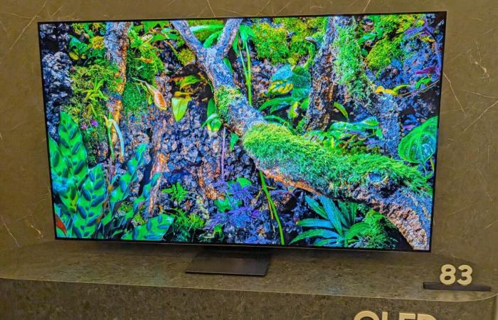 Samsung officialise trois nouvelles séries de TV OLED pour 2025 : S95F, S90F et S85F