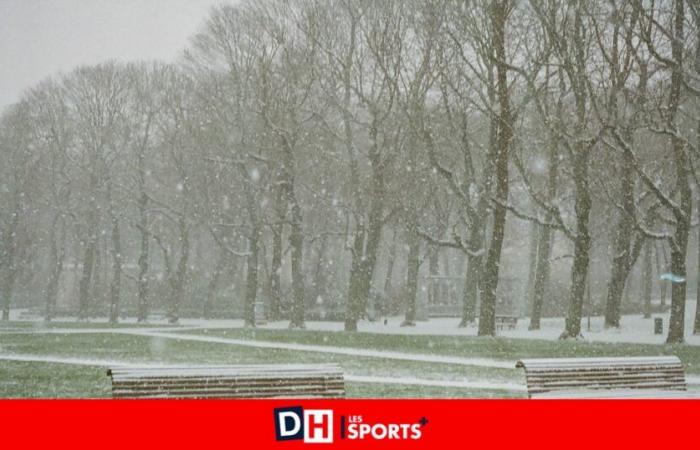 un début de semaine doux, pluvieux et venteux, avant le retour du froid… et de la neige