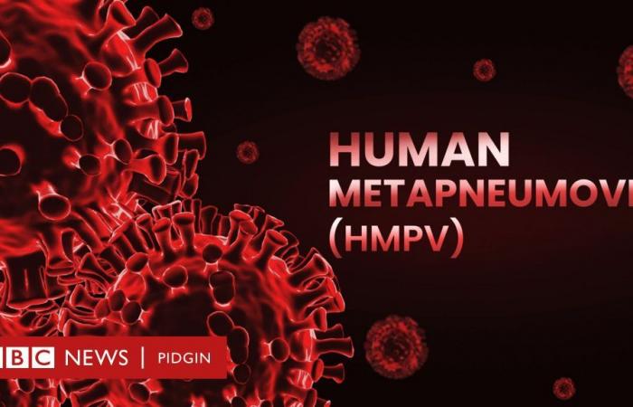 Métapneumovirus humain – que pensent-ils d’être et de pipo inquiets ?