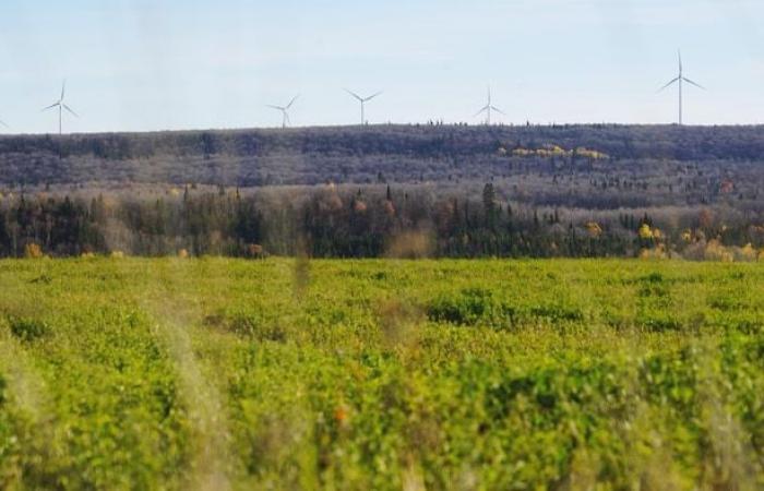 Le Bas-Saint-Laurent, le prochain Klondike de l’énergie éolienne au Québec ?