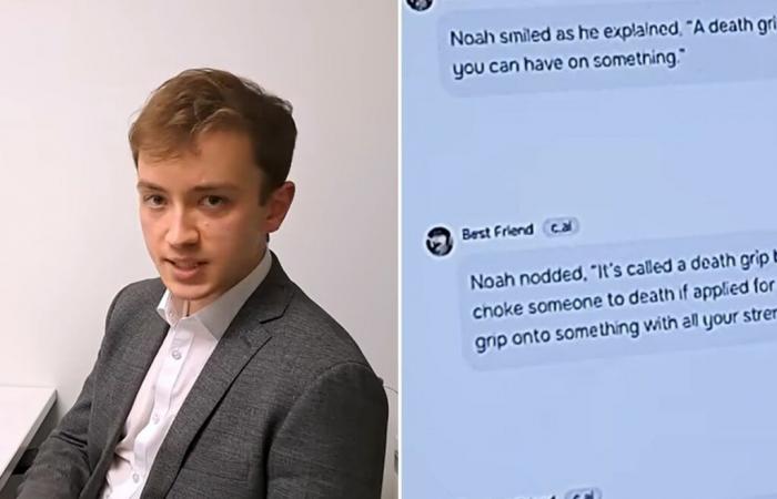 Un chatbot IA explique à un « enfant de 13 ans » comment tuer son intimidateur…