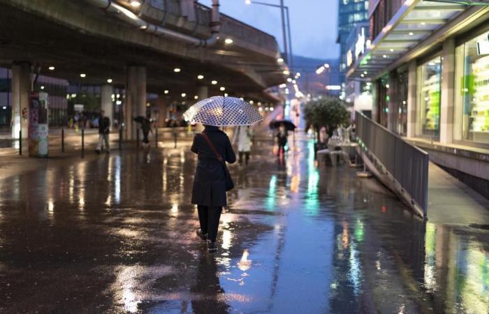 le ciel début 2025 restera gris