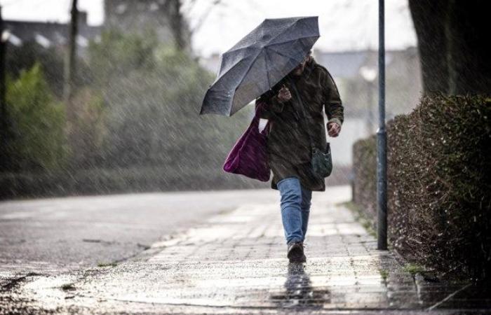 RMI annonce le code jaune (Météo)