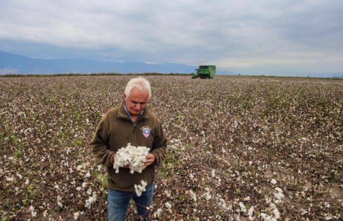 « Est-ce que cela sauvera la planète ? Je ne pense pas”