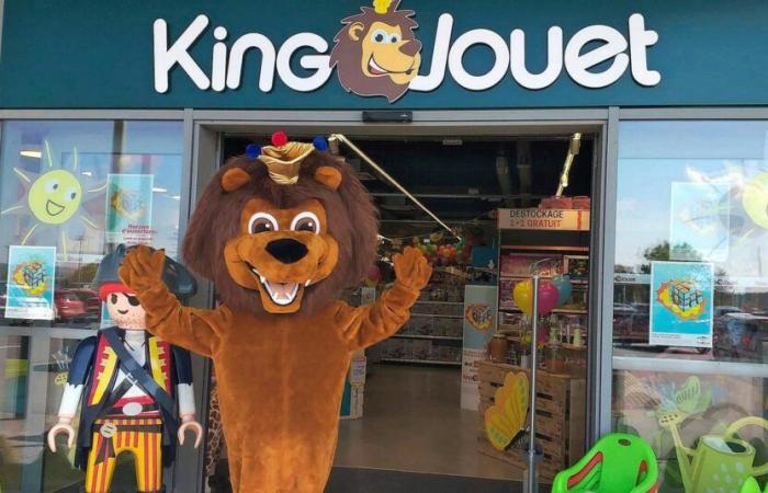 Kingtoy consolide son positionnement en Belgique