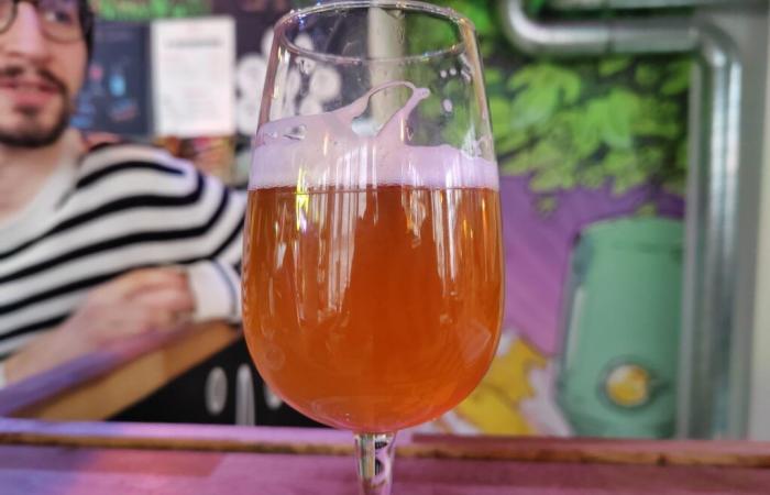 les microbrasseries Patoche et Second Degré font le plein de nouveautés pour l’hiver