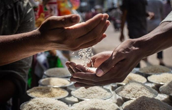 Légère baisse des prix alimentaires mondiaux en décembre